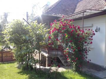 Фотографии Гостевой дом Casa de vacanta Zsenik Vendeghaz г. Совата (Румыния) №5 Фото Гостевой дом Casa de vacanta Zsenik Vendeghaz г. Совата 5