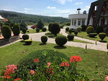 Фотографии Мотели Motel Sora г. Совата (Румыния) №5 Фото Мотели Motel Sora г. Совата 5