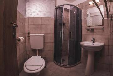 Фото номера Двухместный номер Делюкс с 1 кроватью и балконом Гостевой дом Vila Ursul Negru г. Совата 33