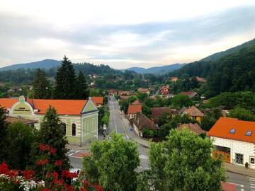 Фото номера Двухместный номер Делюкс с 1 кроватью и балконом Гостевой дом Vila Ursul Negru г. Совата 14