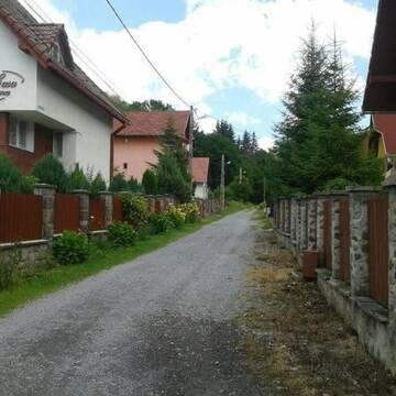 Фото номера Дом с 4 спальнями Дома для отпуска Casa Demény г. Совата 21