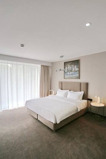 Фото номера Двухместный номер с 1 кроватью Отель Fabesca Boutique Hotel &amp; SPA г. Совата 2