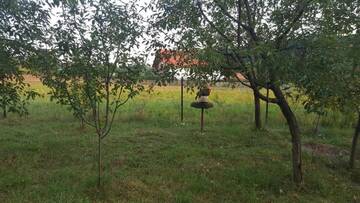 Фото номера Дом с 2 спальнями Дома для отпуска Casa Cristina г. Совата 55